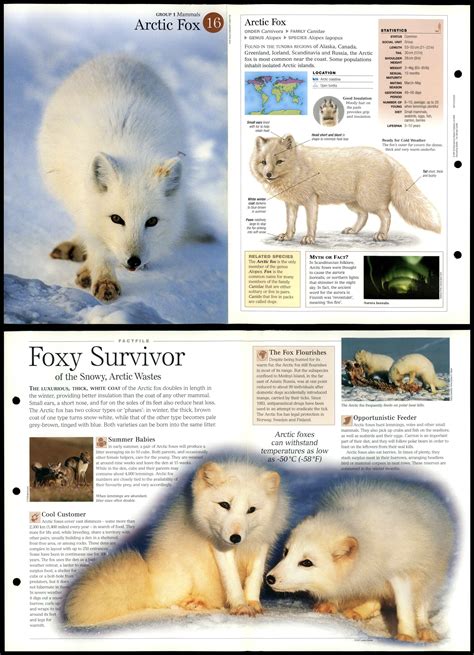 acfox fact sheet.